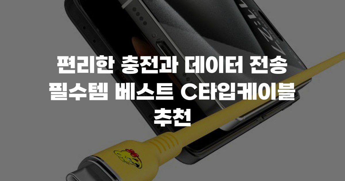 편리한 충전과 데이터 전송 필수템 베스트 C타입케이블 추천